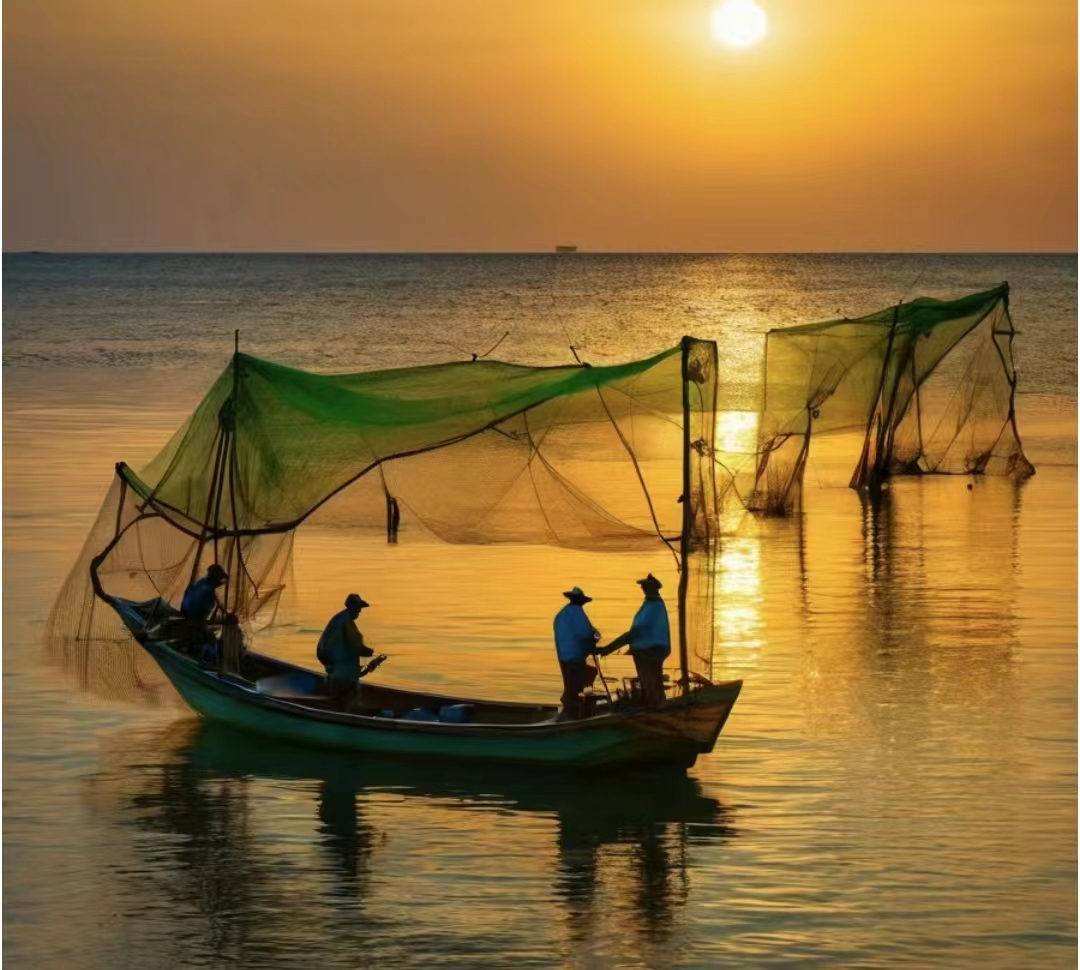 微信图片_20240709150348