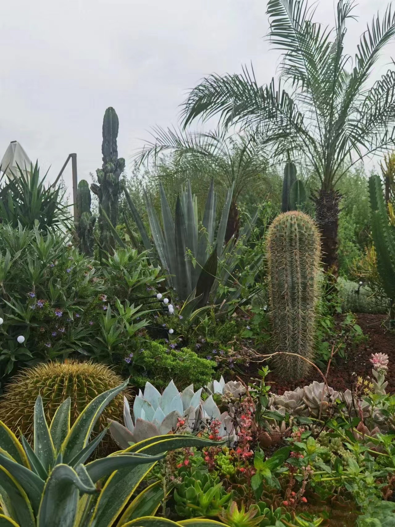 微信图片_20240710214425