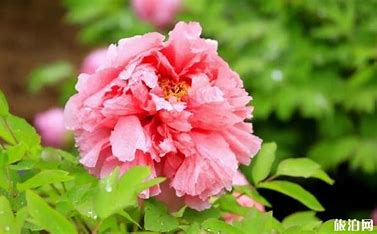 下载 (1) 下载 (1)