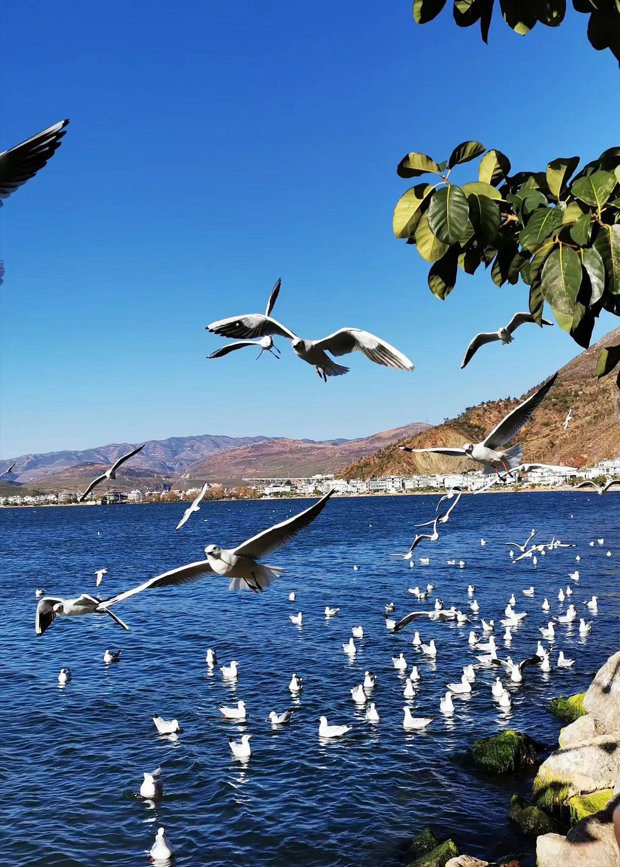 微信图片_20240714113537