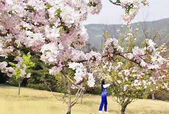 DC0586A184FE608224992A93D557BB0E DC0586A184FE608224992A93D557BB0E