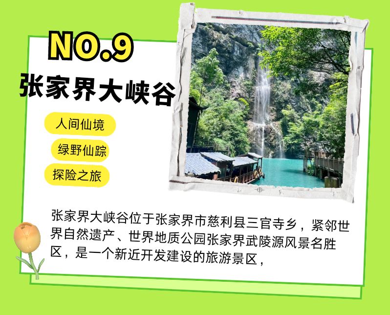 qq_pic_merged_1721057556787