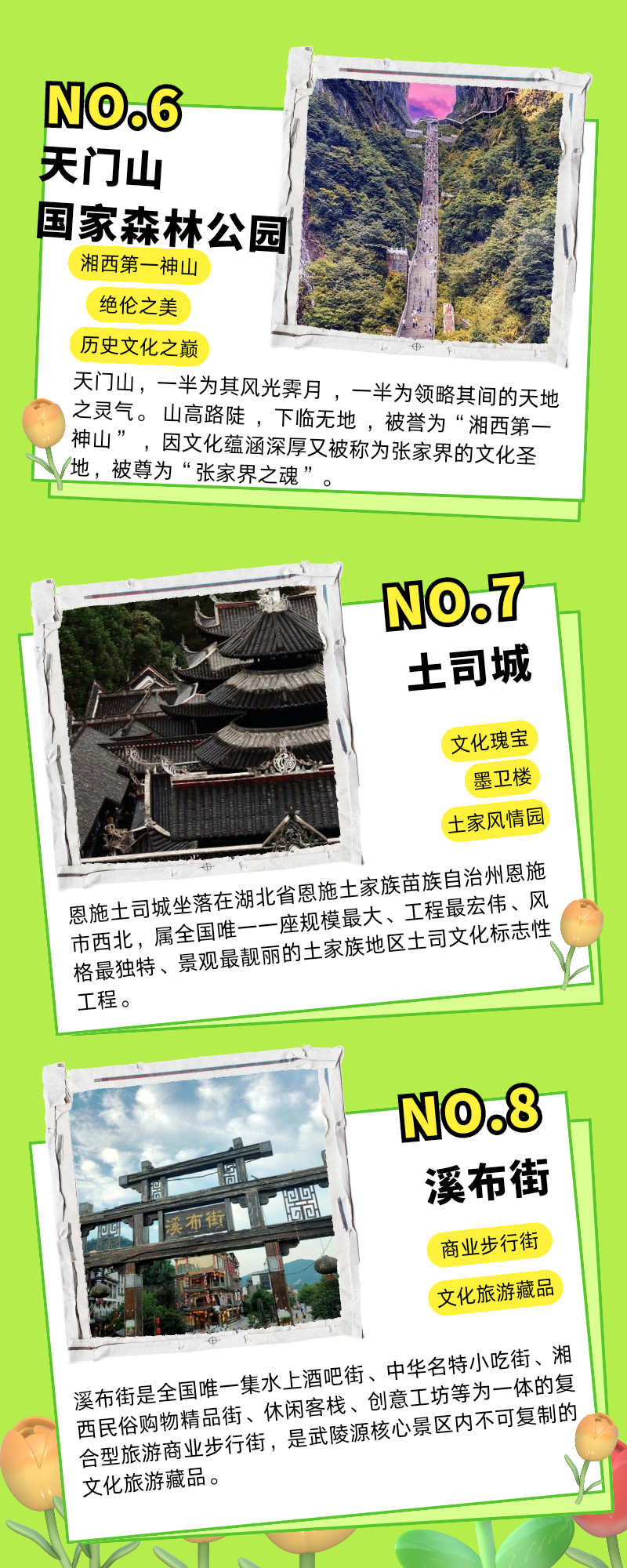 绿色小清晰描边风五一旅游指南景点推荐长图_20240715_232556_0002