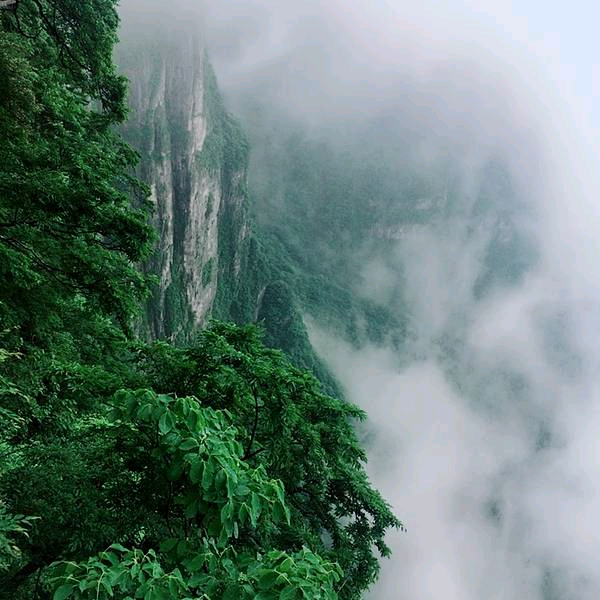 1000003551 1000003551