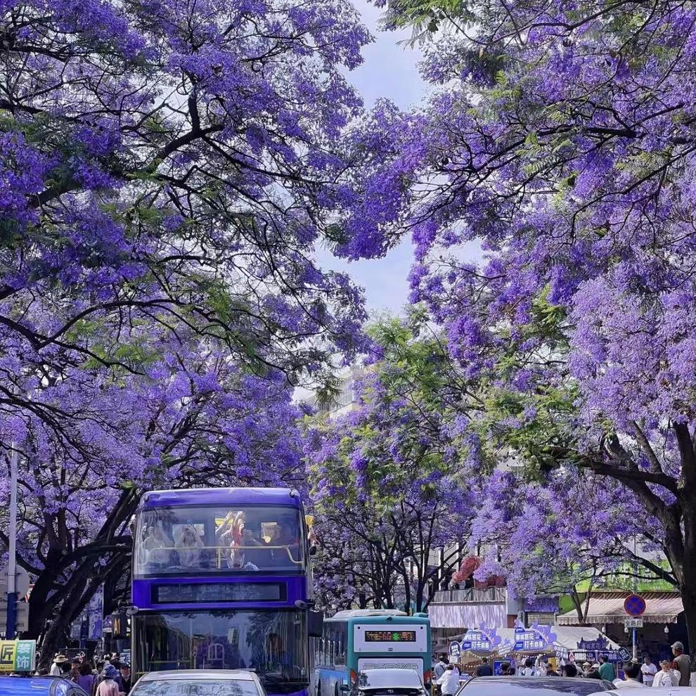 微信图片_20240716102630 微信图片_20240716102630