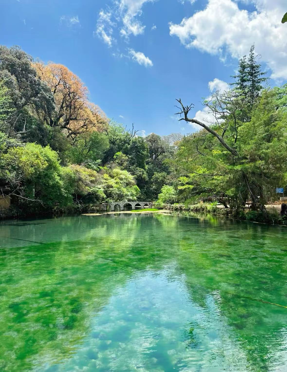 c36ede49ab42ddc40c4815a9f34fa0f