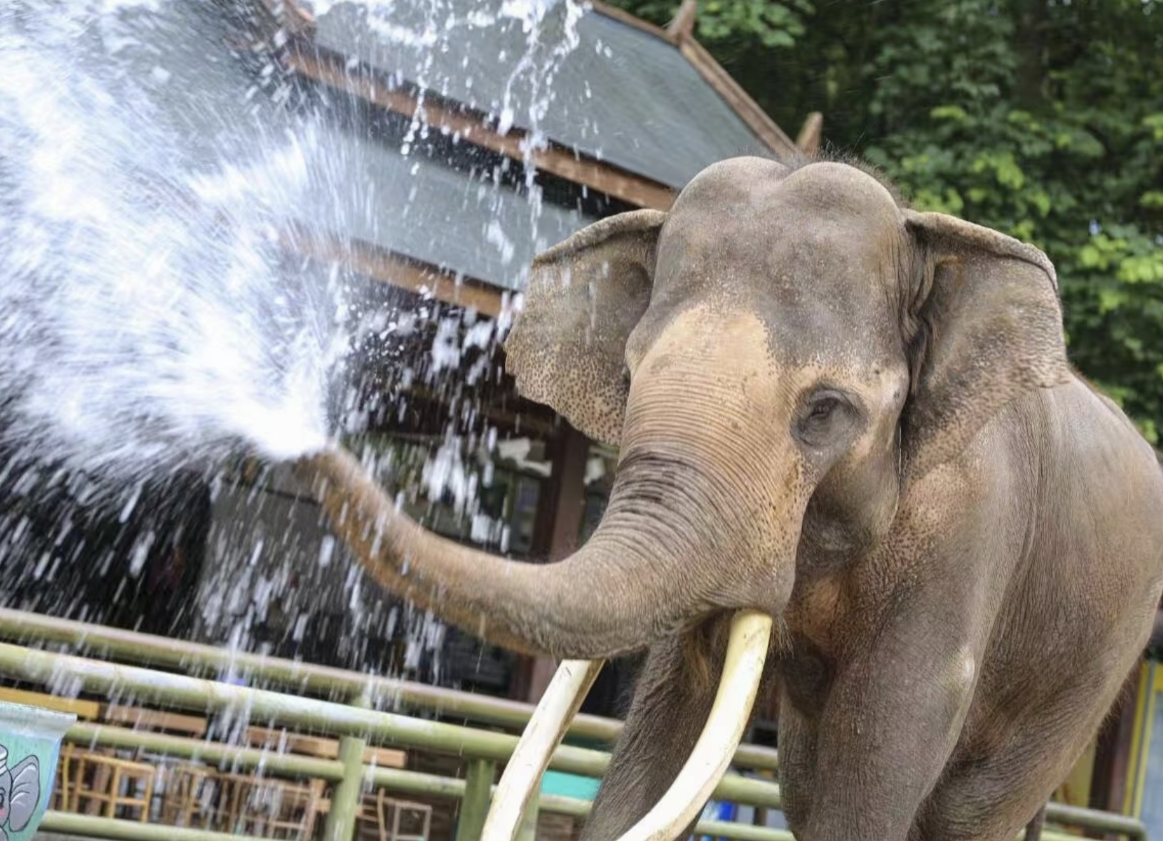 Screenshot_20250909_141204