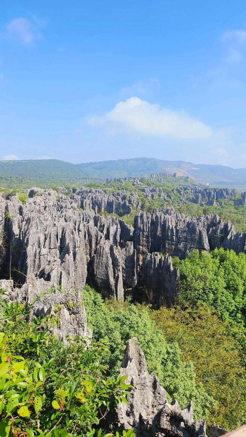 u=2581942689,4224240174&fm=253&app=138&f=JPEG