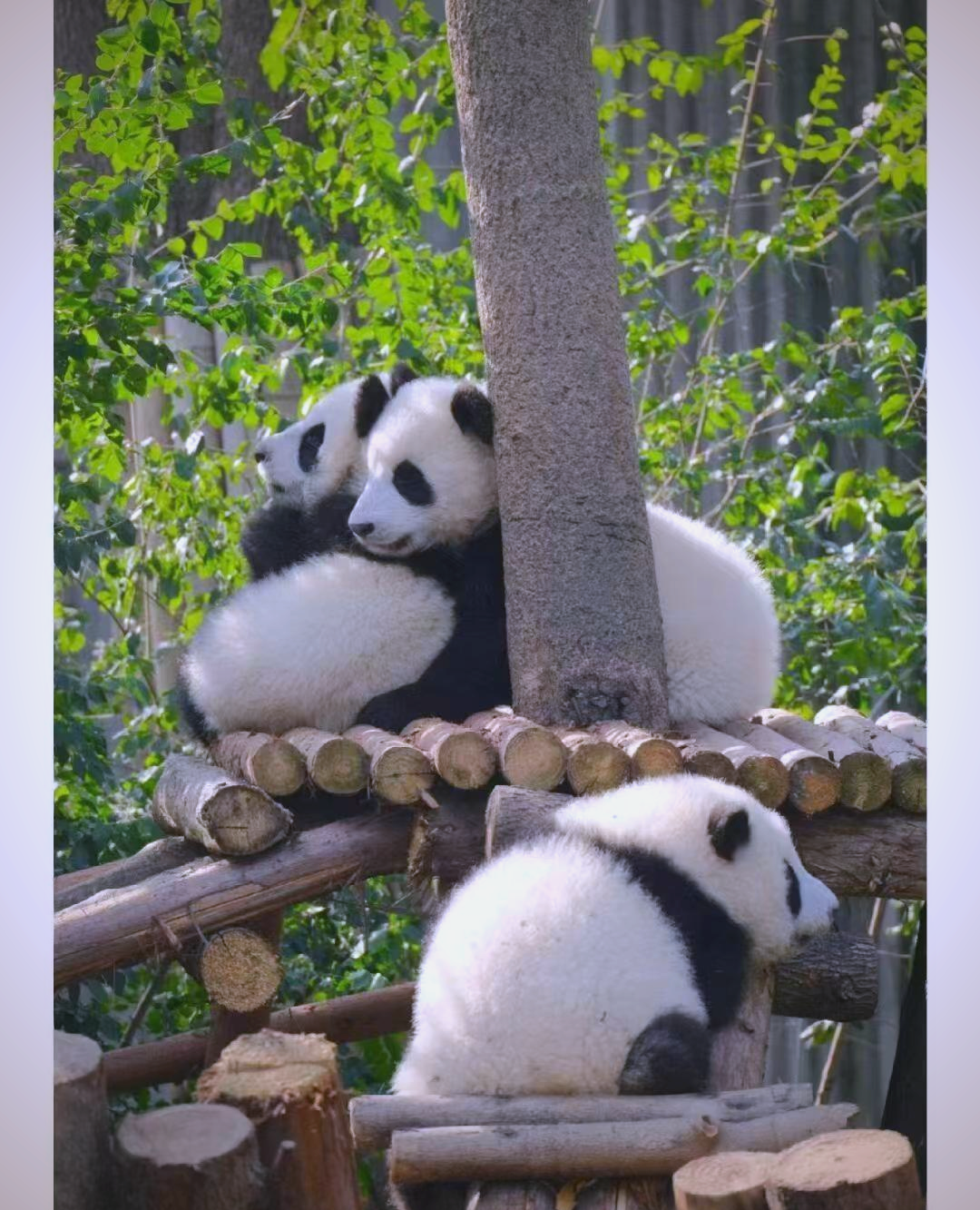 b82308a4eef18a757d066934d175891a