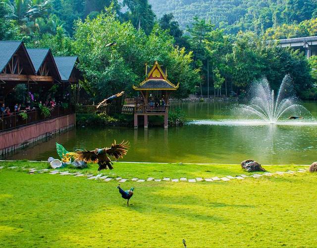 113d8032dafc58b5.jpg_r_640x500x70_1d18bf62 113d8032dafc58b5.jpg_r_640x500x70_1d18bf62