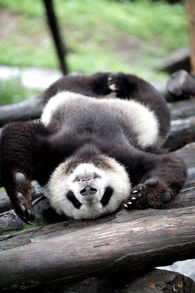 t044a7380554800cd22 t044a7380554800cd22