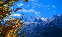 rB5oQFxiYcyAK-ruAAsufaSpuaQ209_200x120_00.jpg.webp