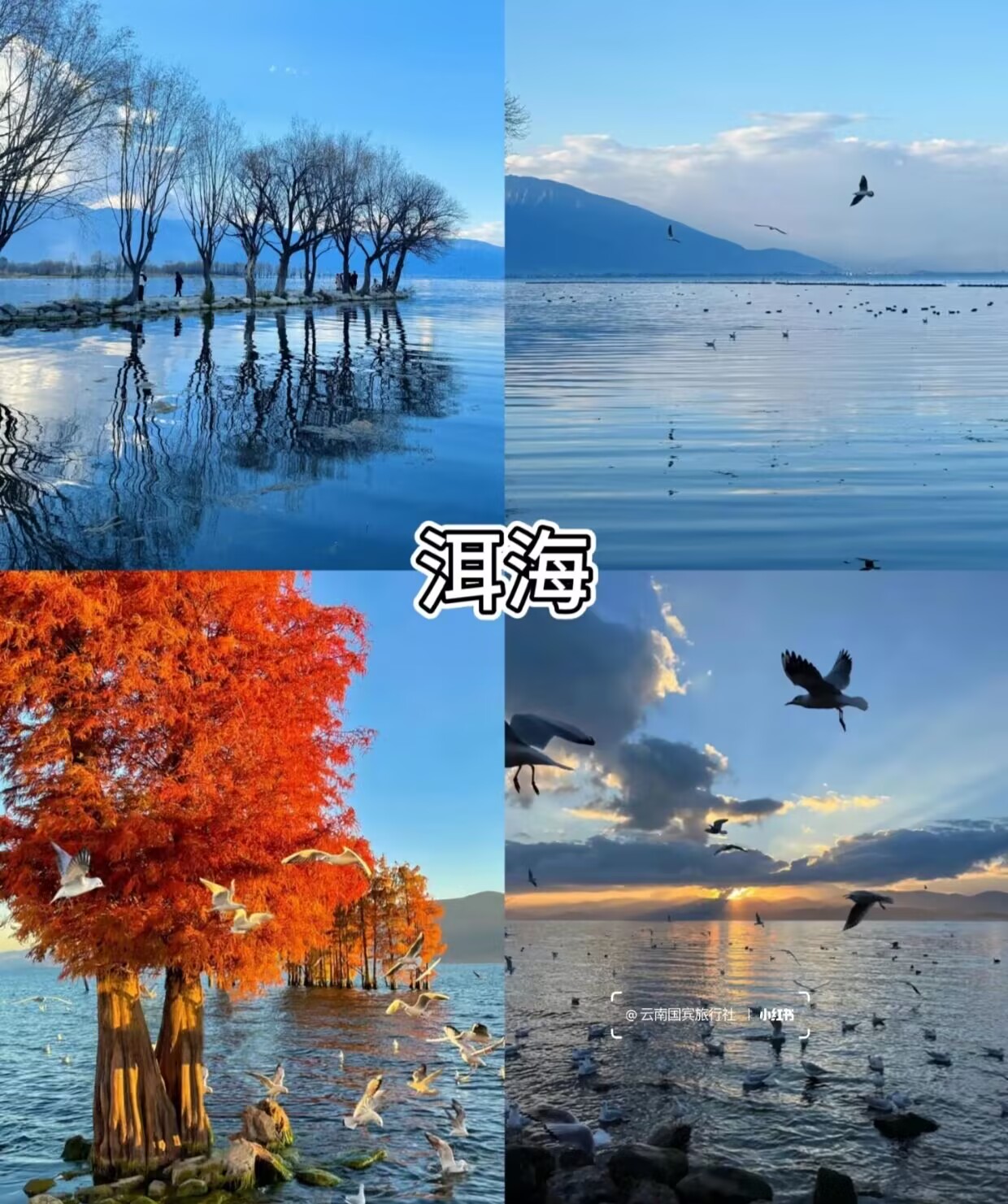 905A2218194FDEA53500E9209C041B2B