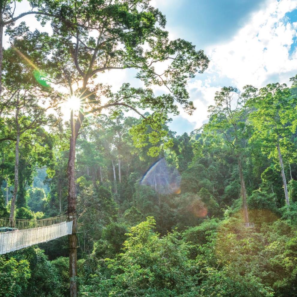 100n0m000000dc9wbF690_C_671_10000_Q90 100n0m000000dc9wbF690_C_671_10000_Q90