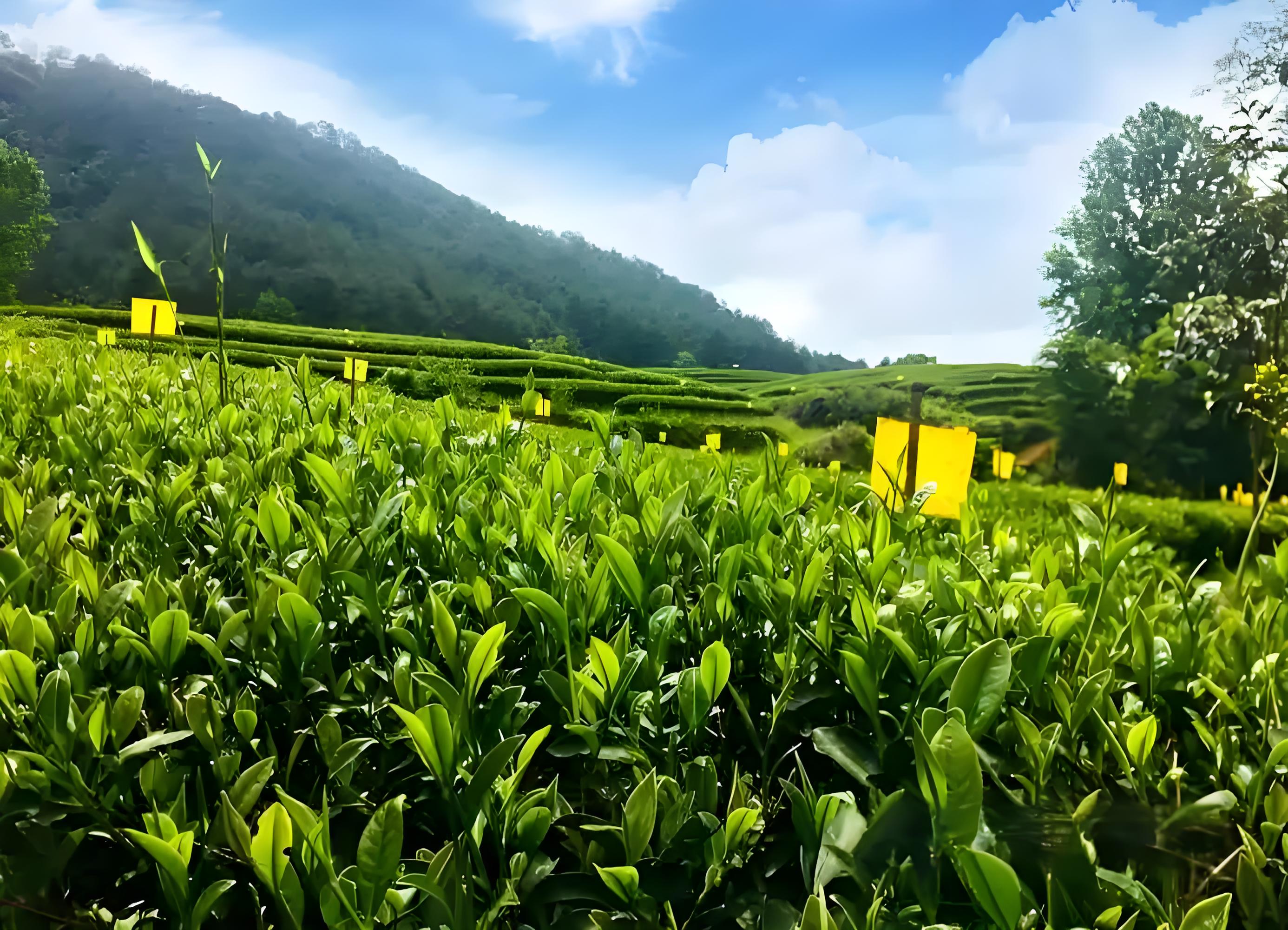 d9bd7924-c102-419c-a955-1d5b5d70550c