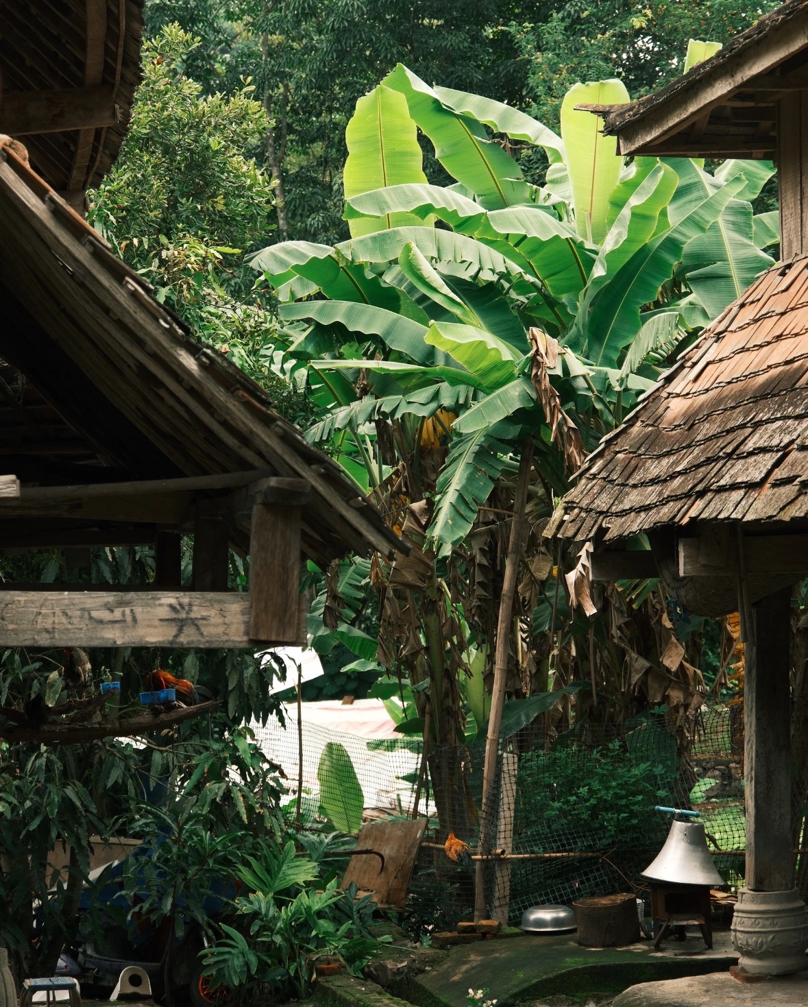 微信图片_20250916100103