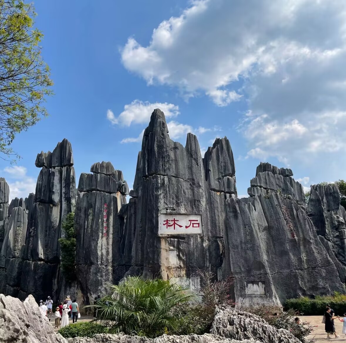 石林