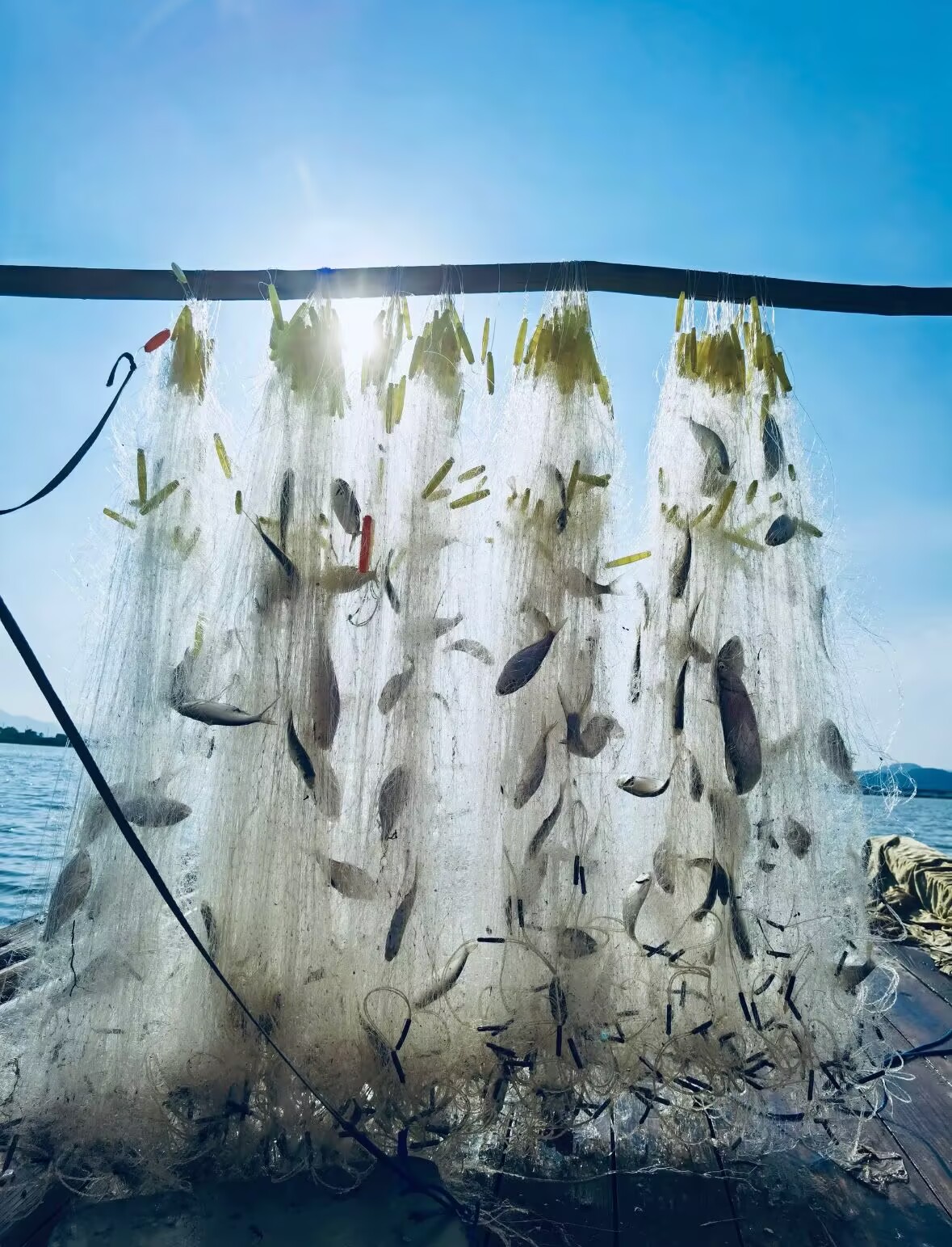 E341CC059E4C471FADBF74CD3CBC7B74