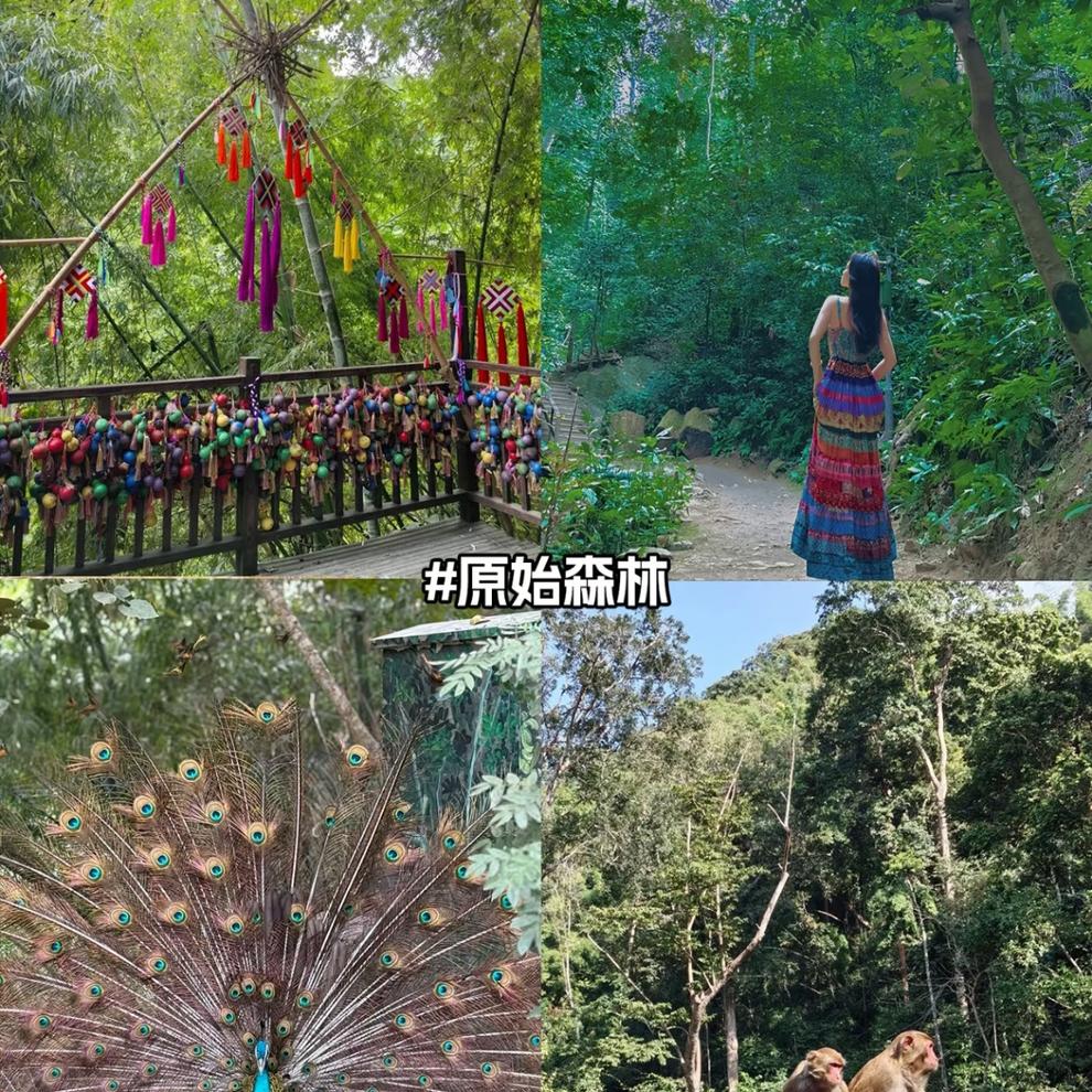 微信图片_20250918221153 微信图片_20250918221153