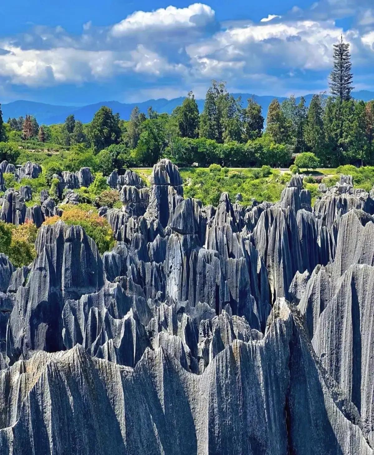 u=2347752897,370629549&fm=3074&app=3074&f=JPEG