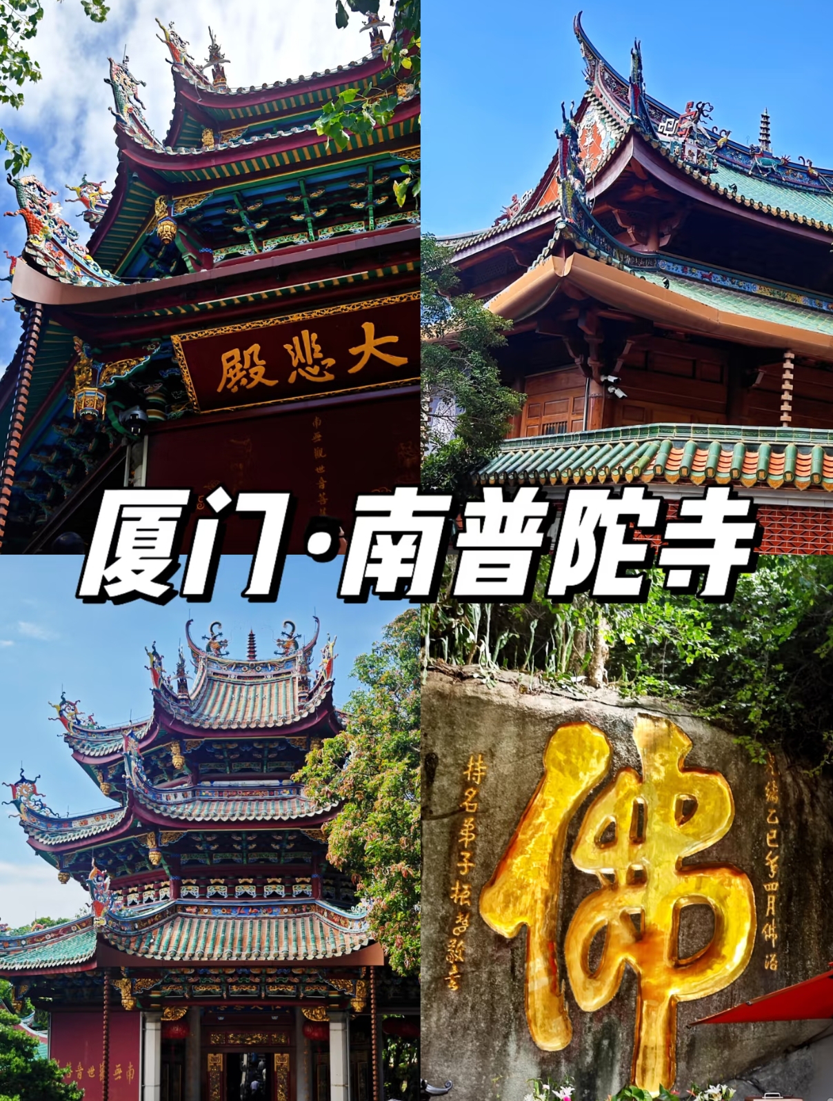 微信图片_20250919103043