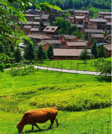 0128A9C33EA47588F1305210D3B7D20C