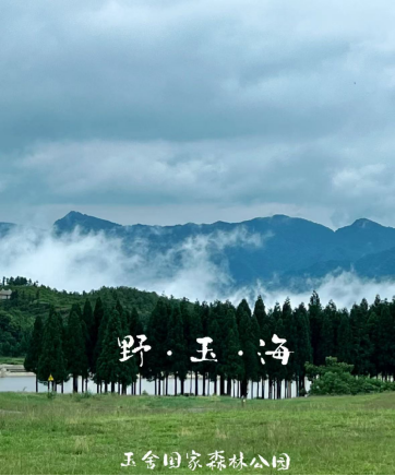 542DBE4D80AA2DB96497CD25E583F5DC 542DBE4D80AA2DB96497CD25E583F5DC