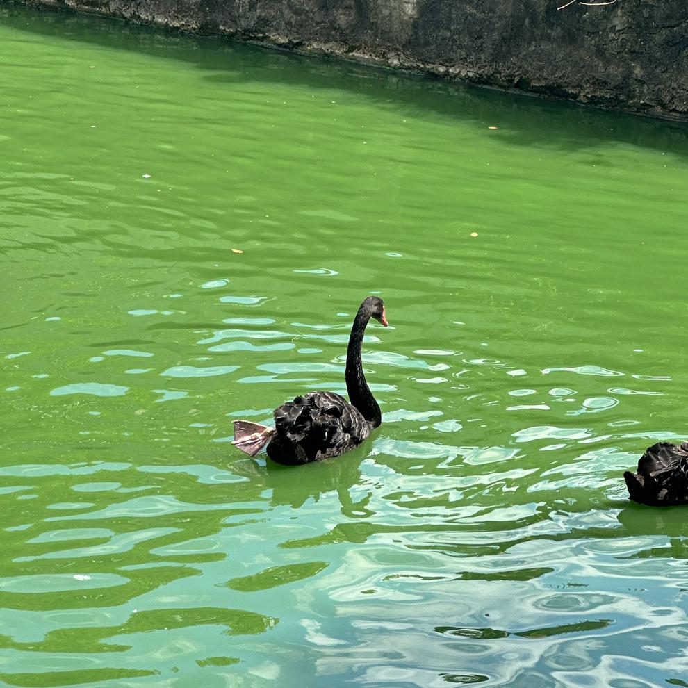 511EF480CB92452C0EBB83A8496F06E5 511EF480CB92452C0EBB83A8496F06E5