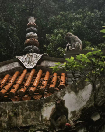 E1123D07C32E3066EAFA48F80896FD43