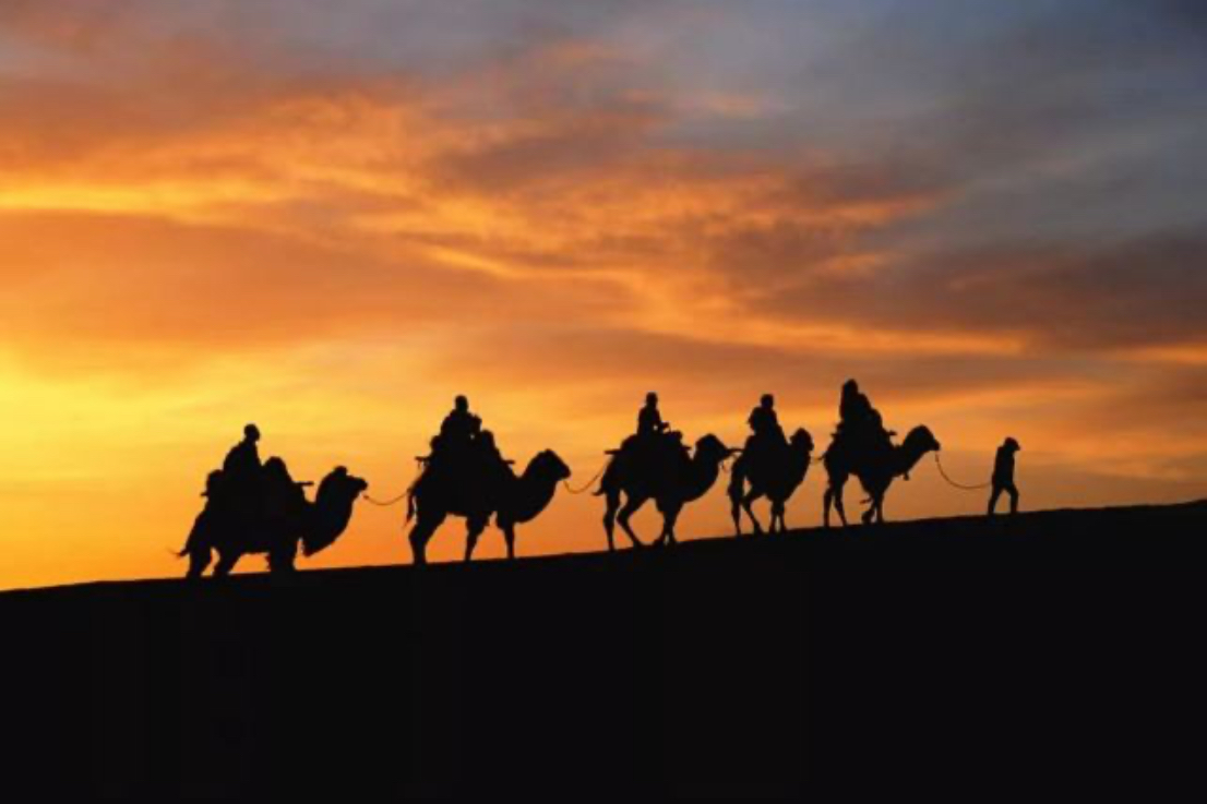 IMG_2869(20251029-145830)