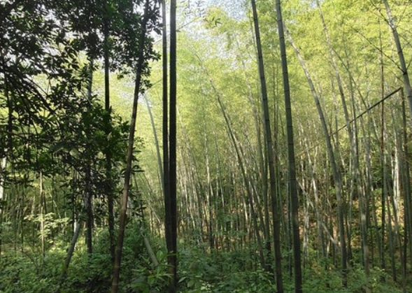 屏幕截图_3-11-2025_95923_cn.bing.com 屏幕截图_3-11-2025_95923_cn.bing.com