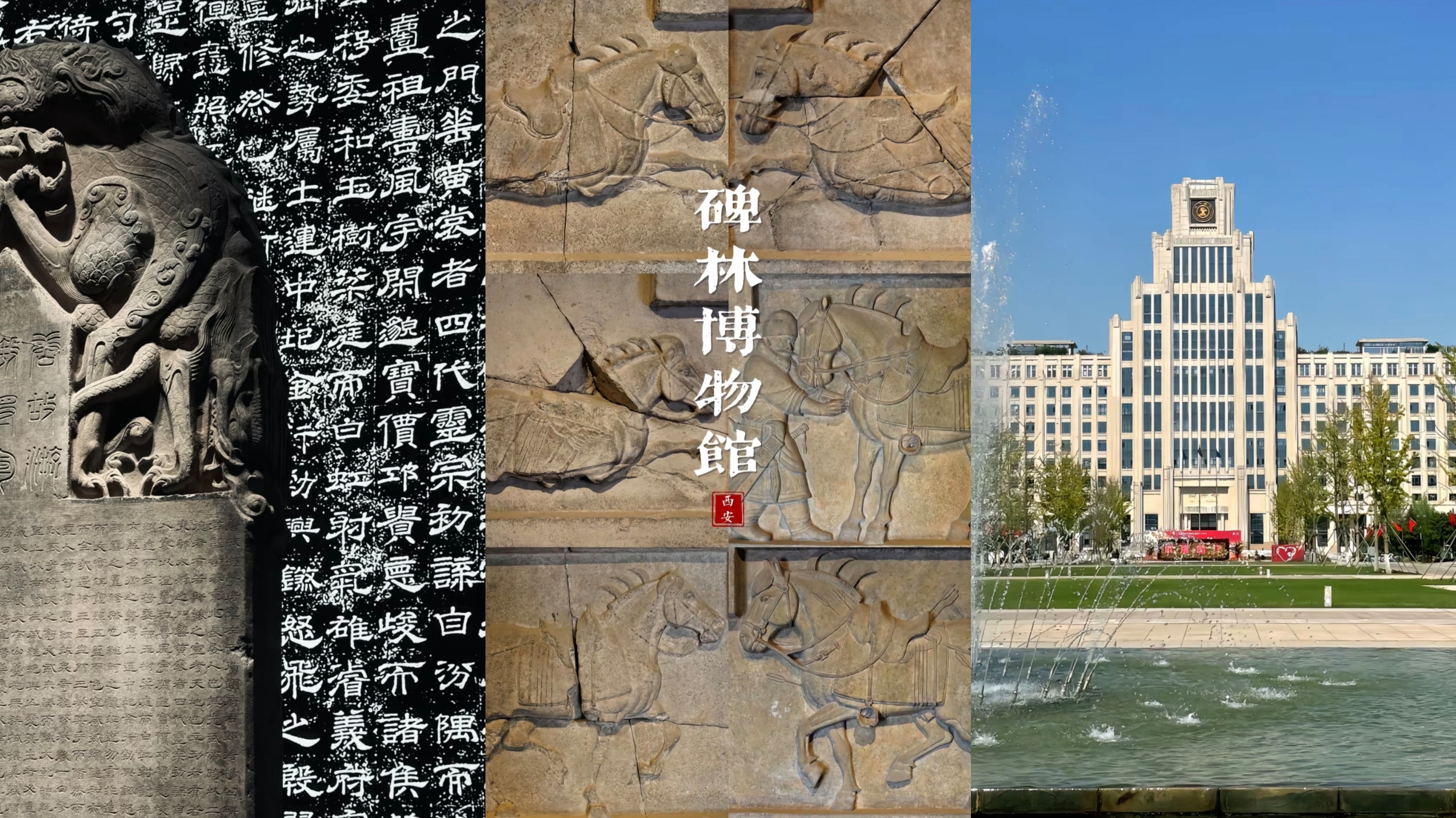 西安交通大学 碑林博物馆