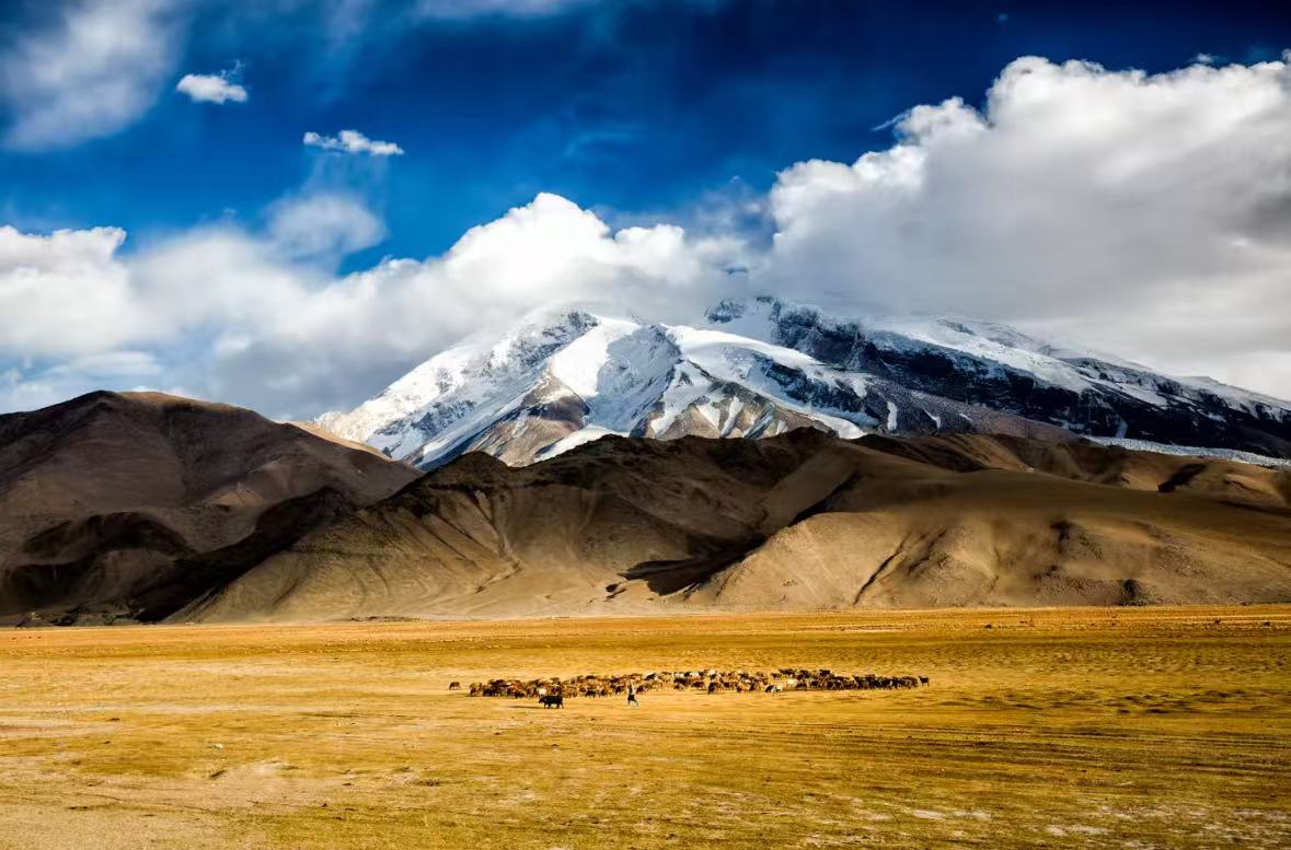 微信图片_20251110223337_119_2