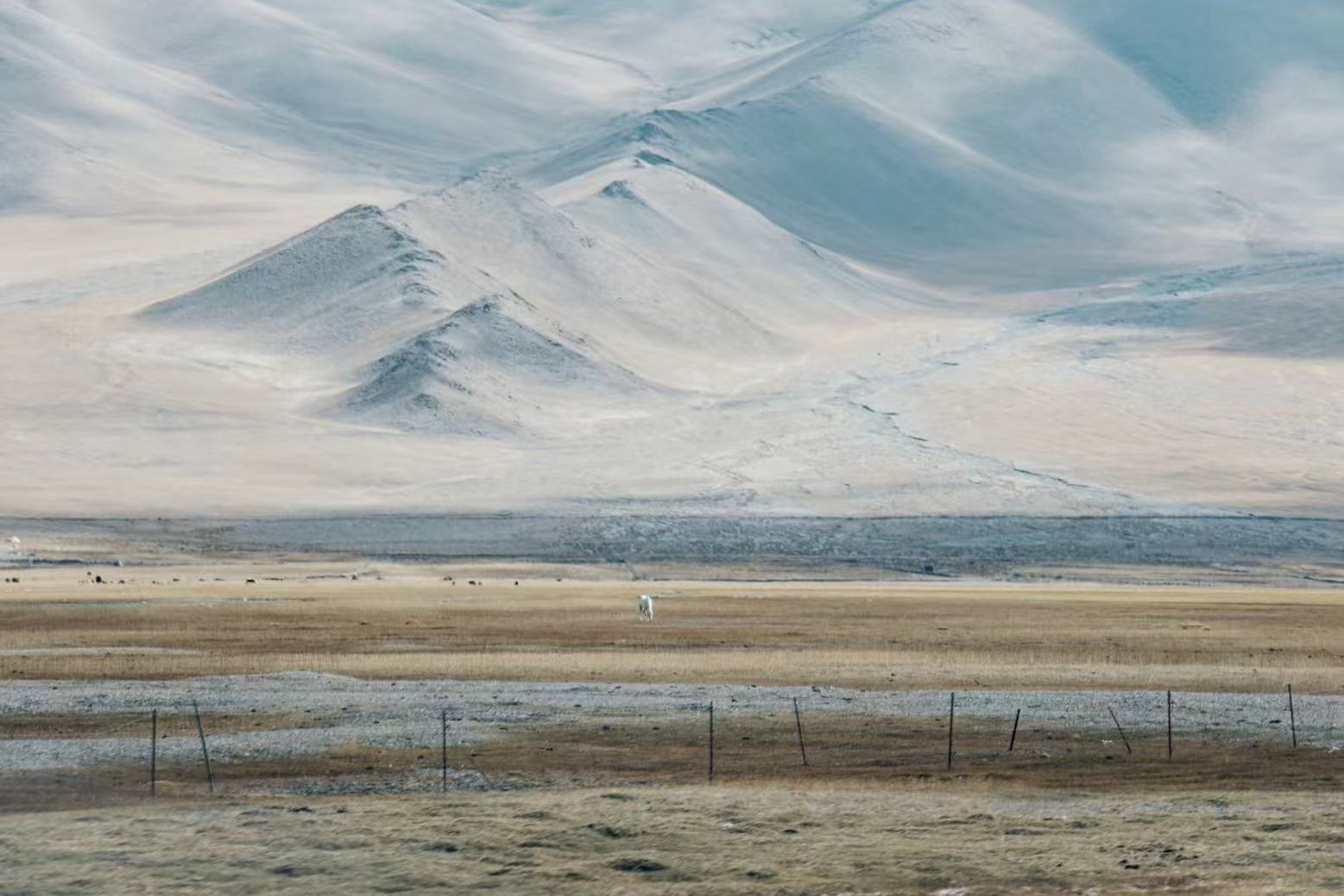 微信图片_20251110223332_114_2