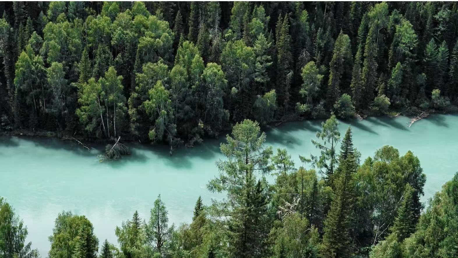 微信图片_20251110161647_78_2