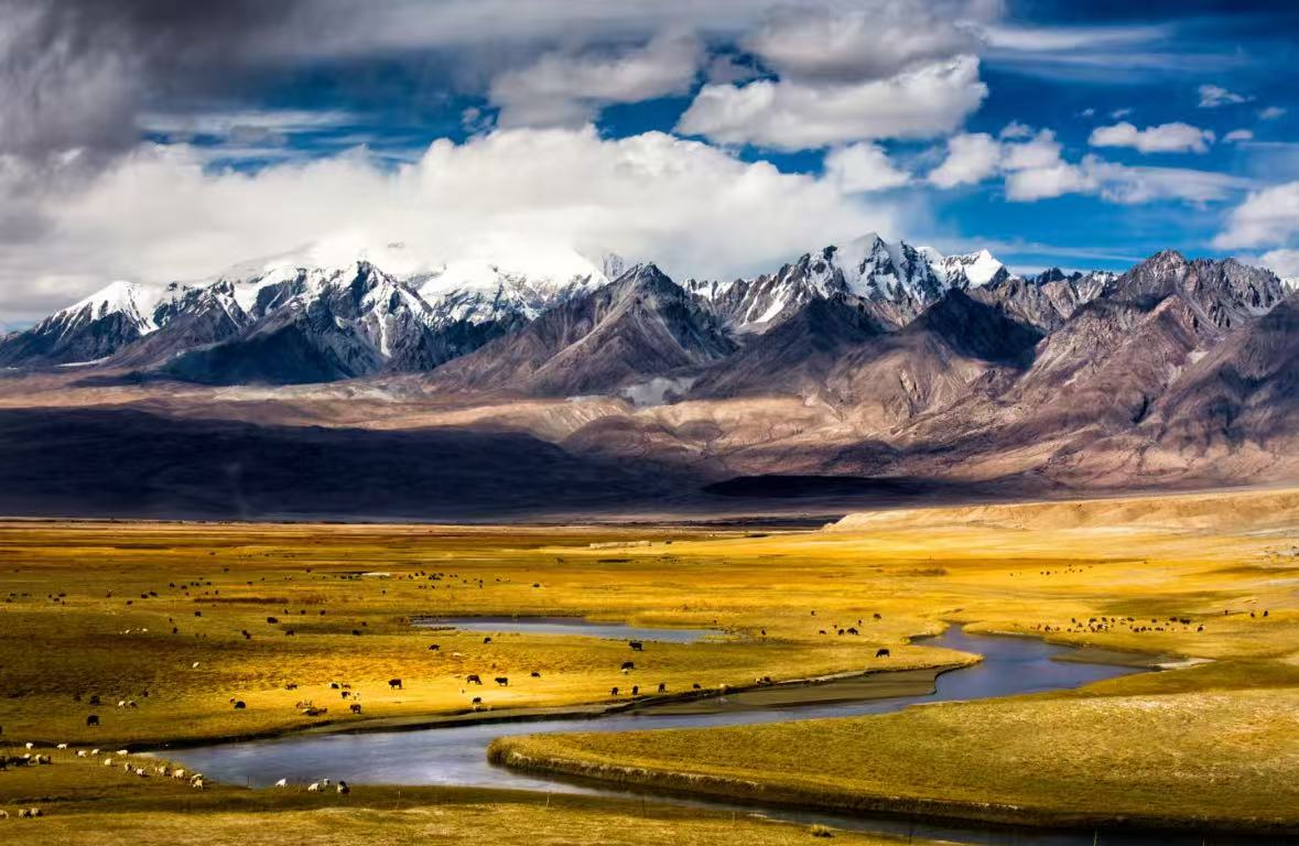 微信图片_20251110223335_117_2