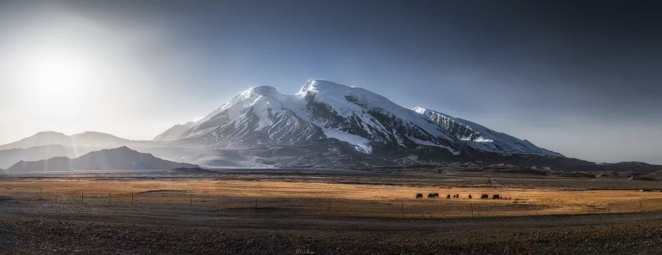 微信图片_20251110223338_121_2