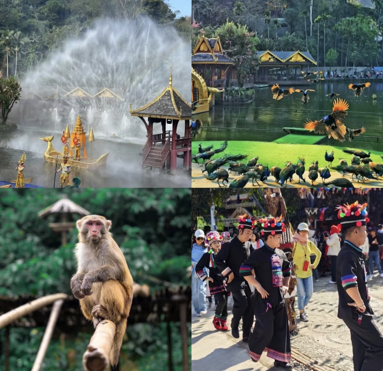 微信图片_20251112221225