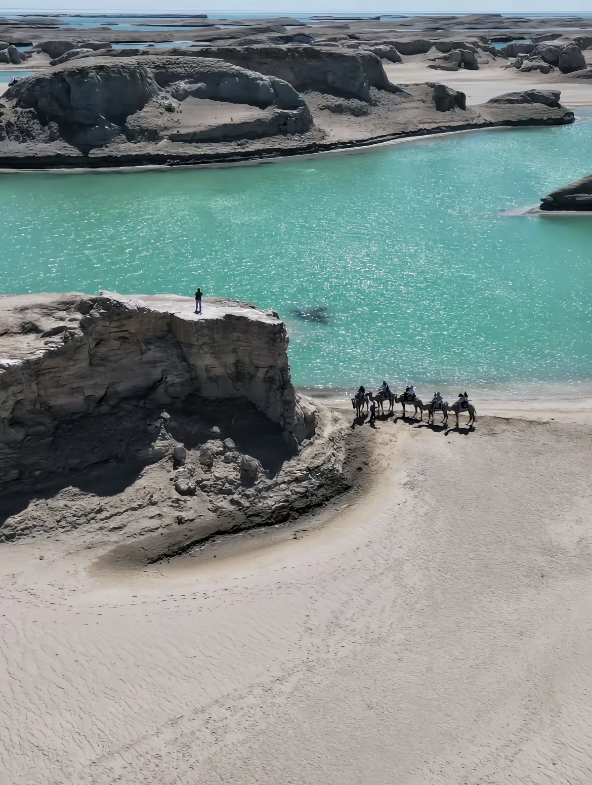 微信图片_20251112181011_58_81